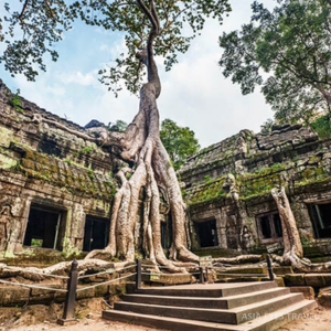 14 días explorando la belleza de 3 países de Indochina